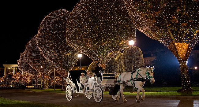 Experience Carriage Rides